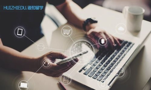 誨知留學 服務全學科高端學生