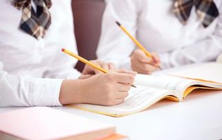 還在擔心上學難？專業教育咨詢助您輕松應對